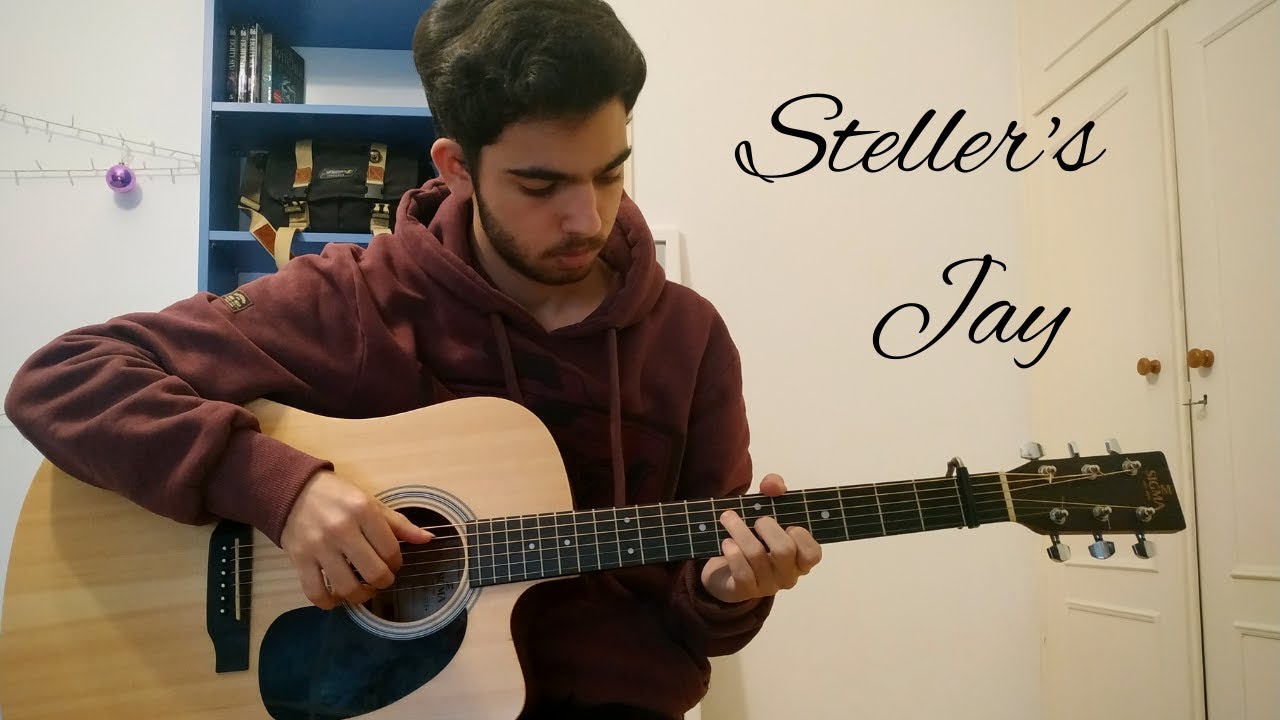 Steller's Jay - Bobu Sama (cover)