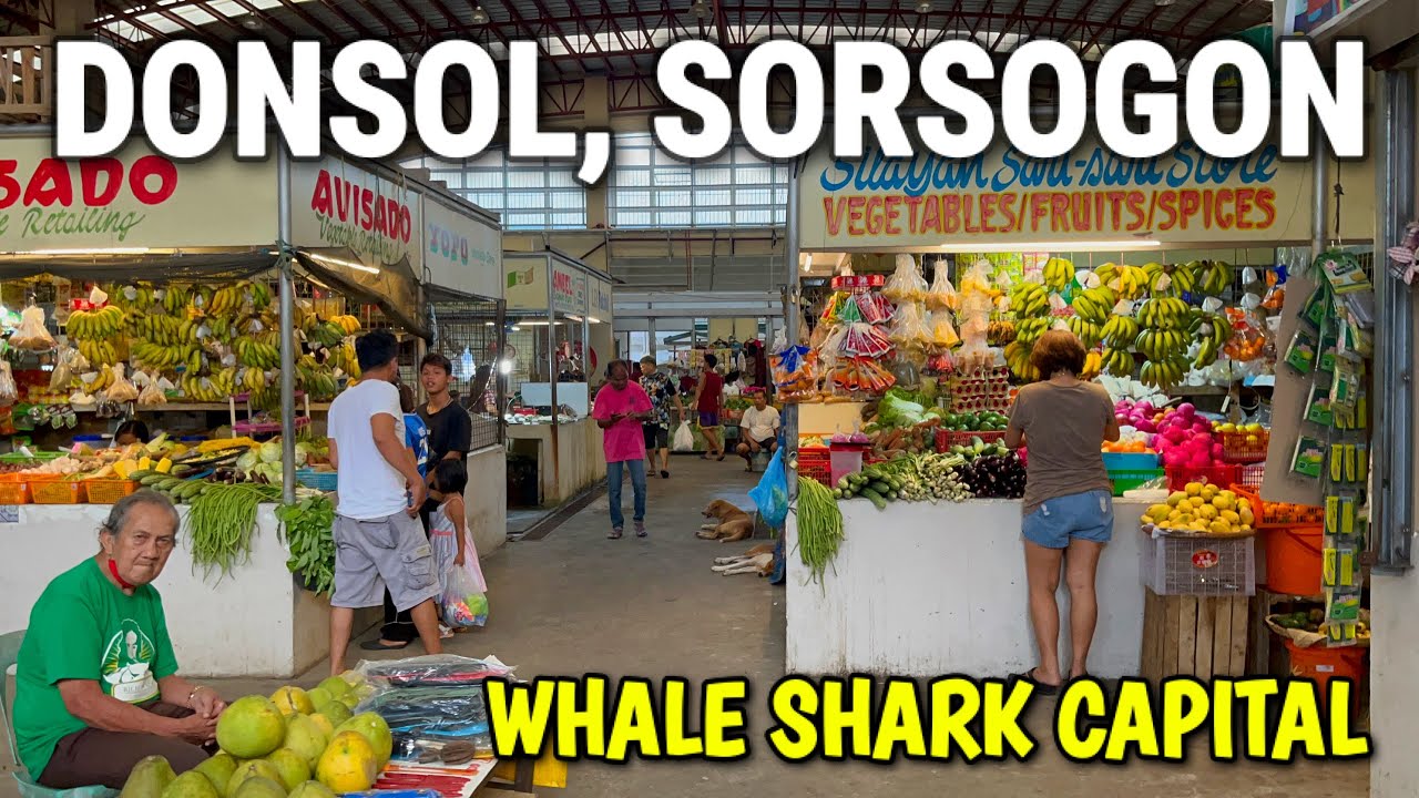 Exploring DONSOL SORSOGON - The Whale Shark Capital! | Palengke & Beach Resort Tour