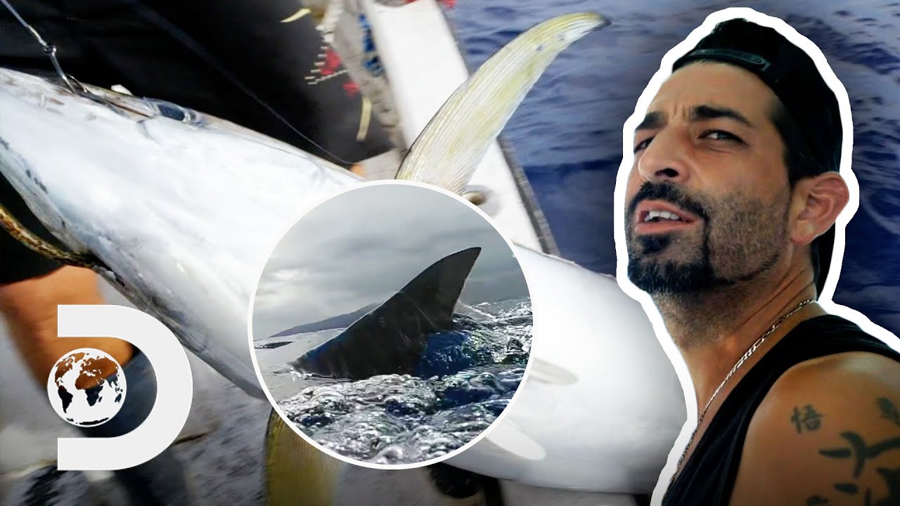 Fishermen Fight A Hungry Shark To Catch A MASSIVE 130 Lb Fish! | Deadliest Catch: Bloodline
