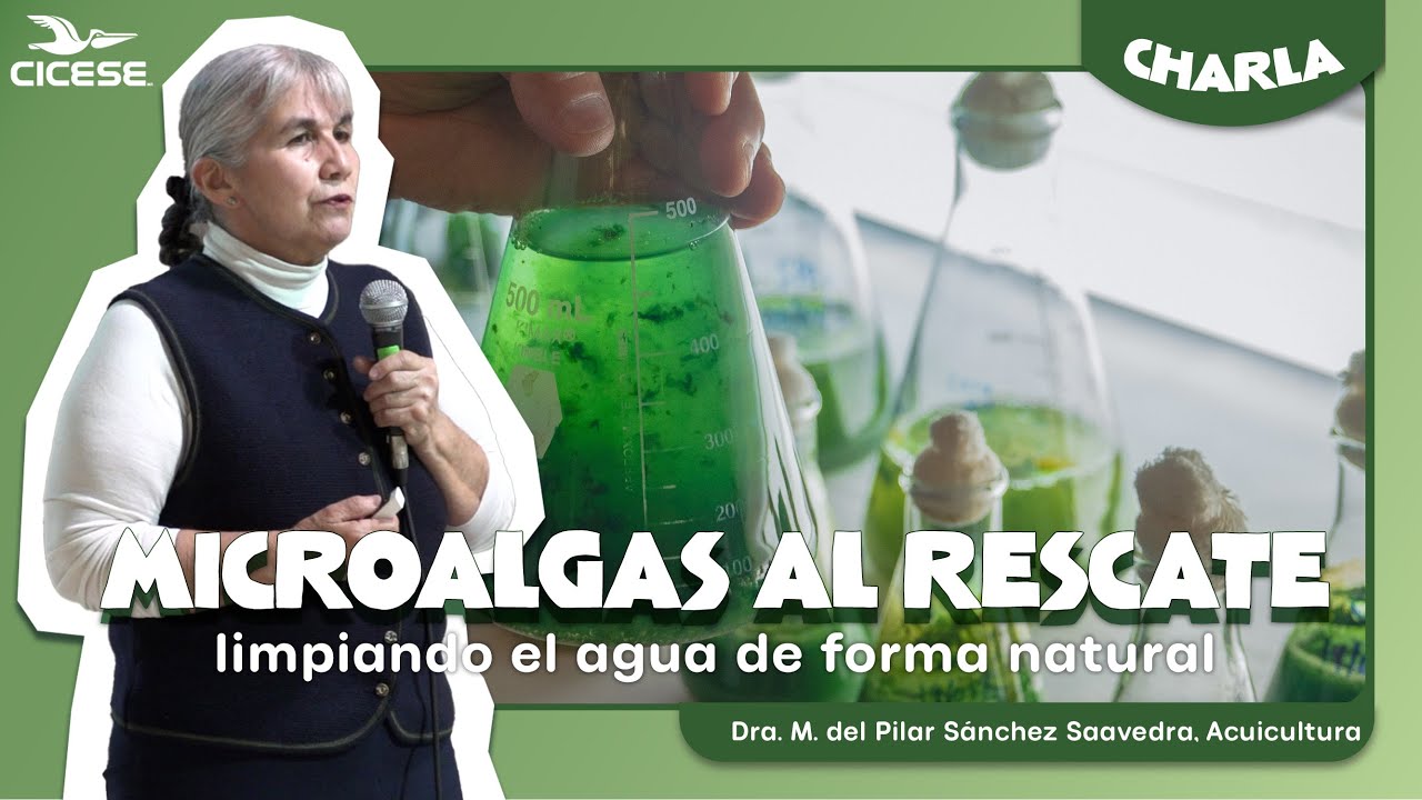 Charla 
