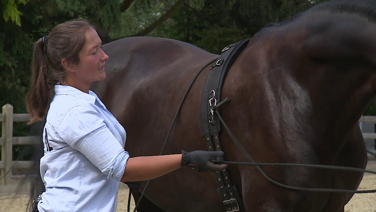 Dubbele longe met Magali Van der Heyden - aflevering 3