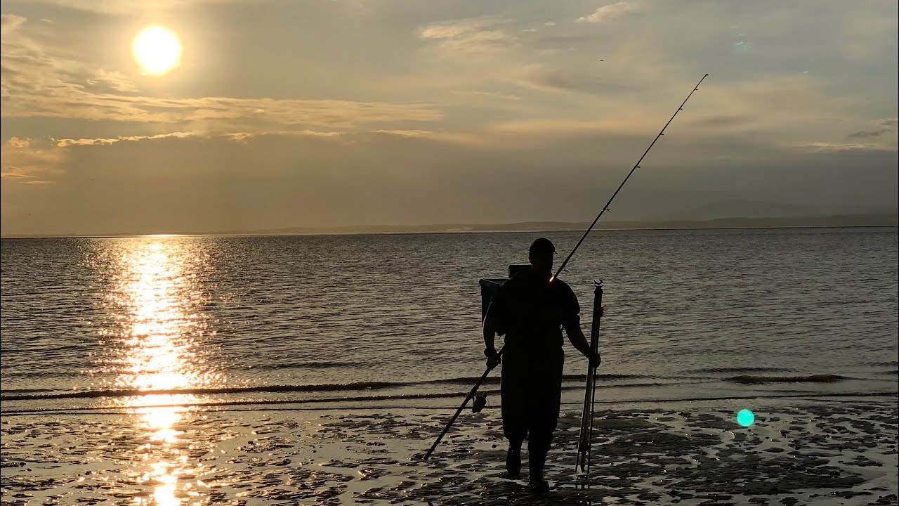 Smooth hound and thorn back rays at Morecambe bay