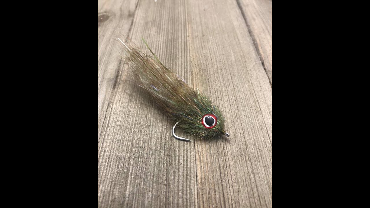 Brush Minnow