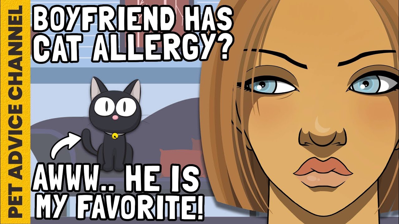 10 cat breeds that dont shed as much