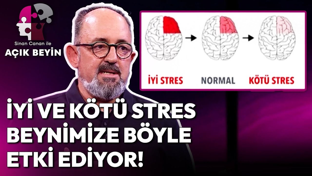 İyi ve K&ouml;t&uuml; Stres Arasındaki Ger&ccedil;ek Fark Ne? | Sinan Canan ile A&ccedil;ık Beyin