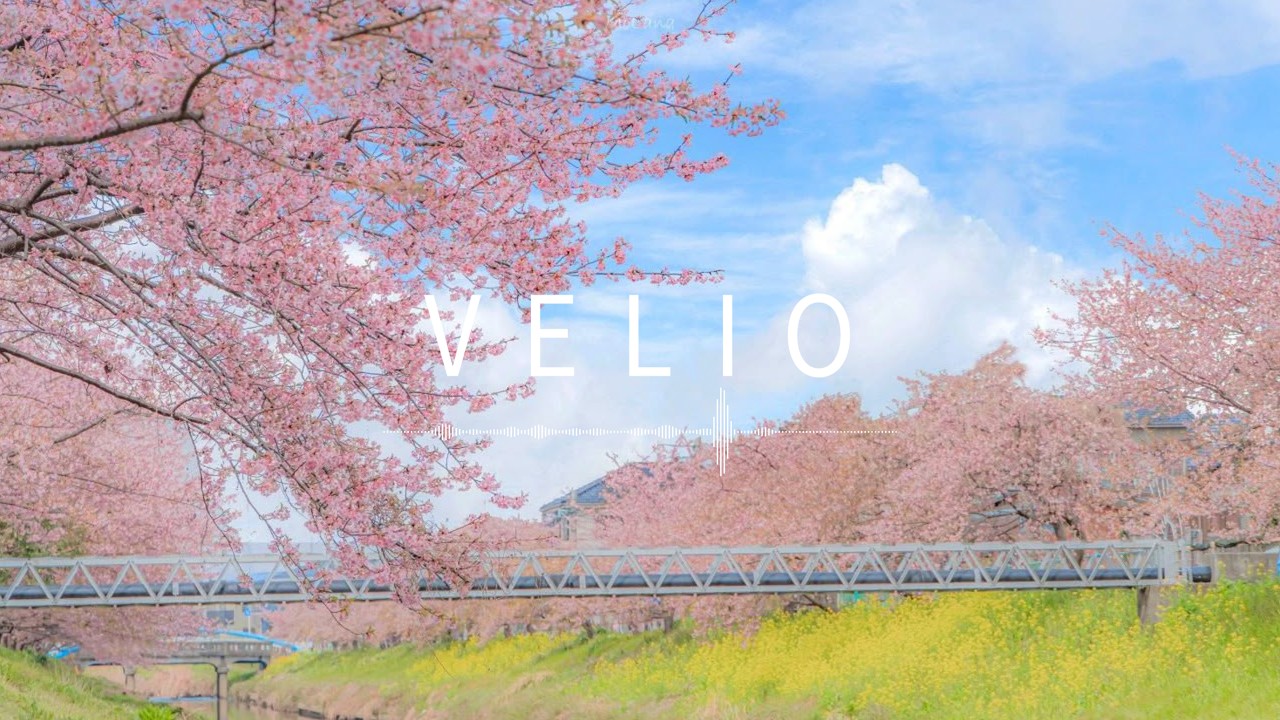[𝑷𝒍𝒂𝒚𝒍𝒊𝒔𝒕] 설렘한스푼,봄 그리고 너ㅣ봄노래 모음ㅣ3시간연속재생ㅣspring song