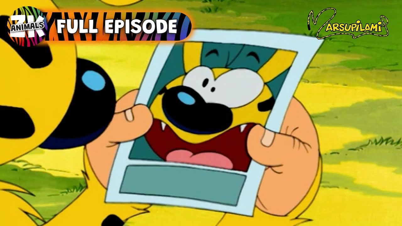Marsupilami | Season 1, Episode 20 | Love Struck in Palombia