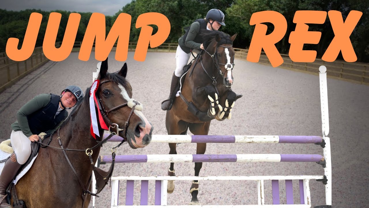 SHOWJUMPING REX | are we making progress ???