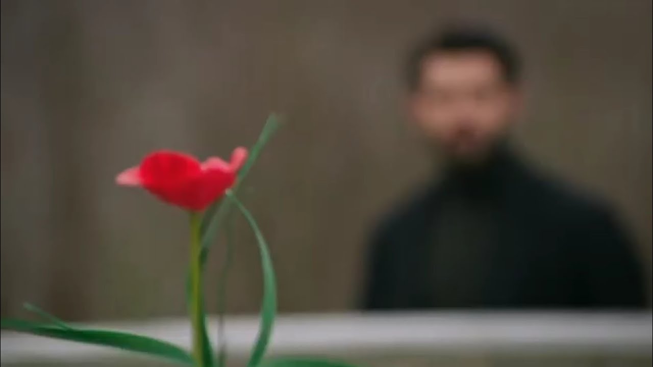 Dilan ve Baran 💙 Öyle İşte