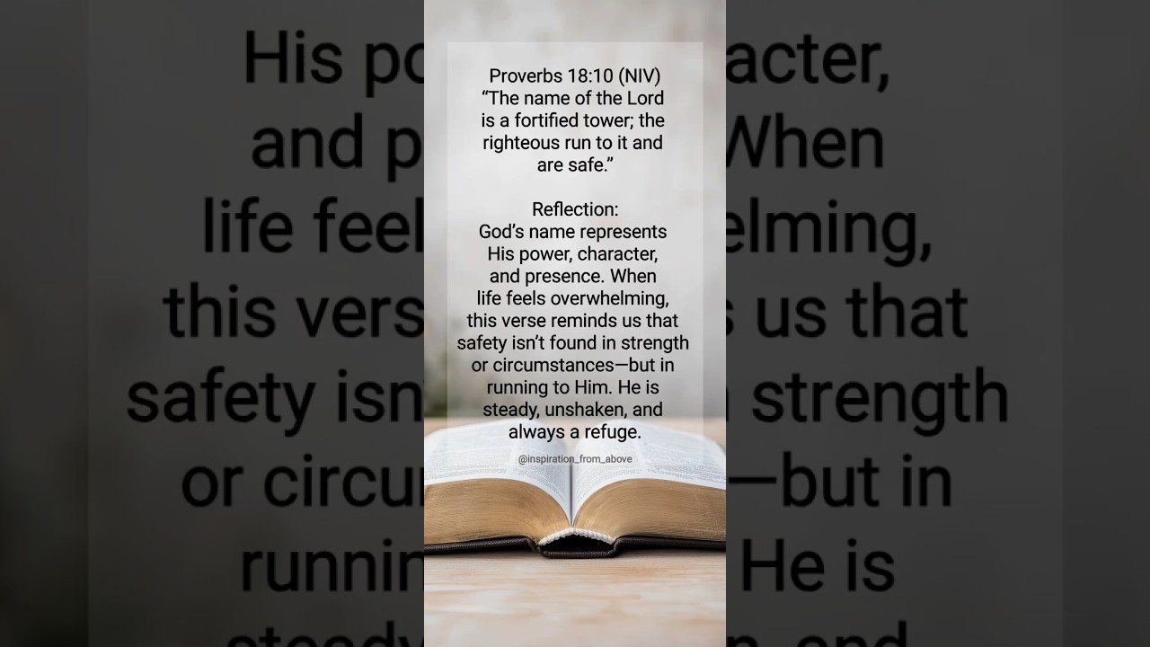 Bible Verse | Proverbs 