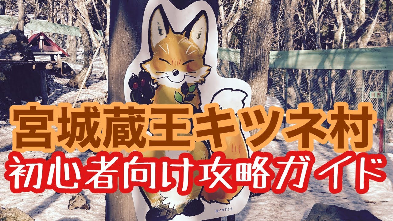 【初心者編】宮城蔵王キツネ村攻略ガイド〜日本語版　The fox villege manual gides for a begnner.