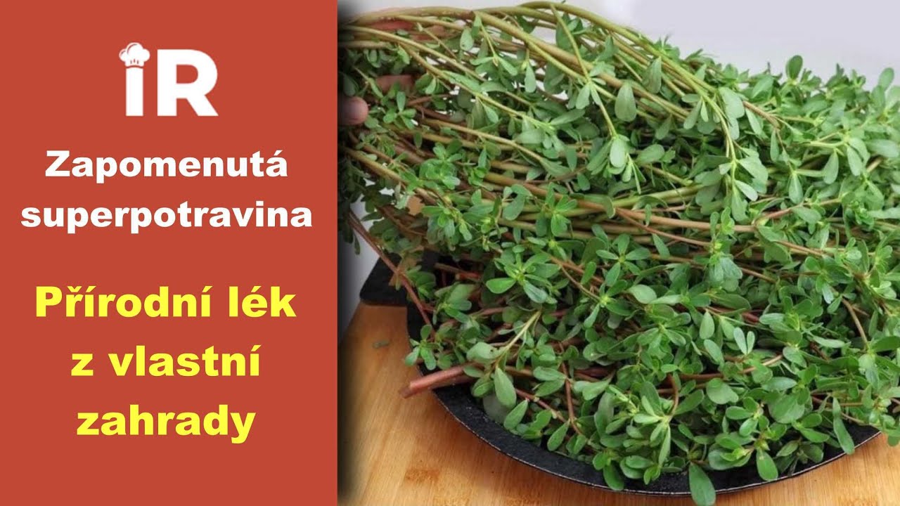 Zapomenut&aacute; superpotravina, př&iacute;rodn&iacute; l&eacute;k z vlastn&iacute; zahrady