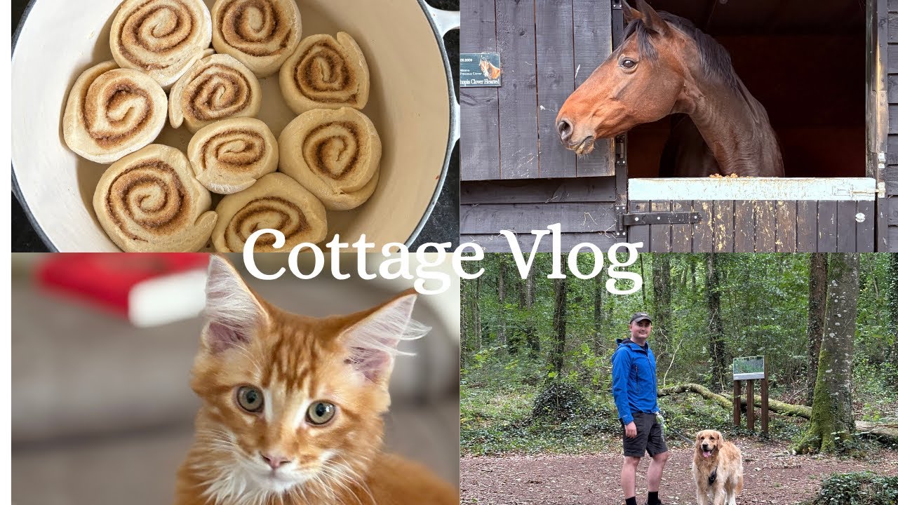 Cottage Vlog: September in the cottage, rainy day, making cinnamon buns and home cooking