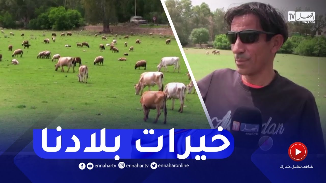 عودة الحياة و النشاط إلى بحيرة طونقة بعد الأمطار الأخيرة بالقالة ولاية الطارف
