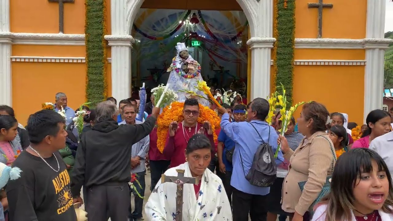 San Francisco de Asís  - El Coyote de Guerrero | Video Oficial 2026