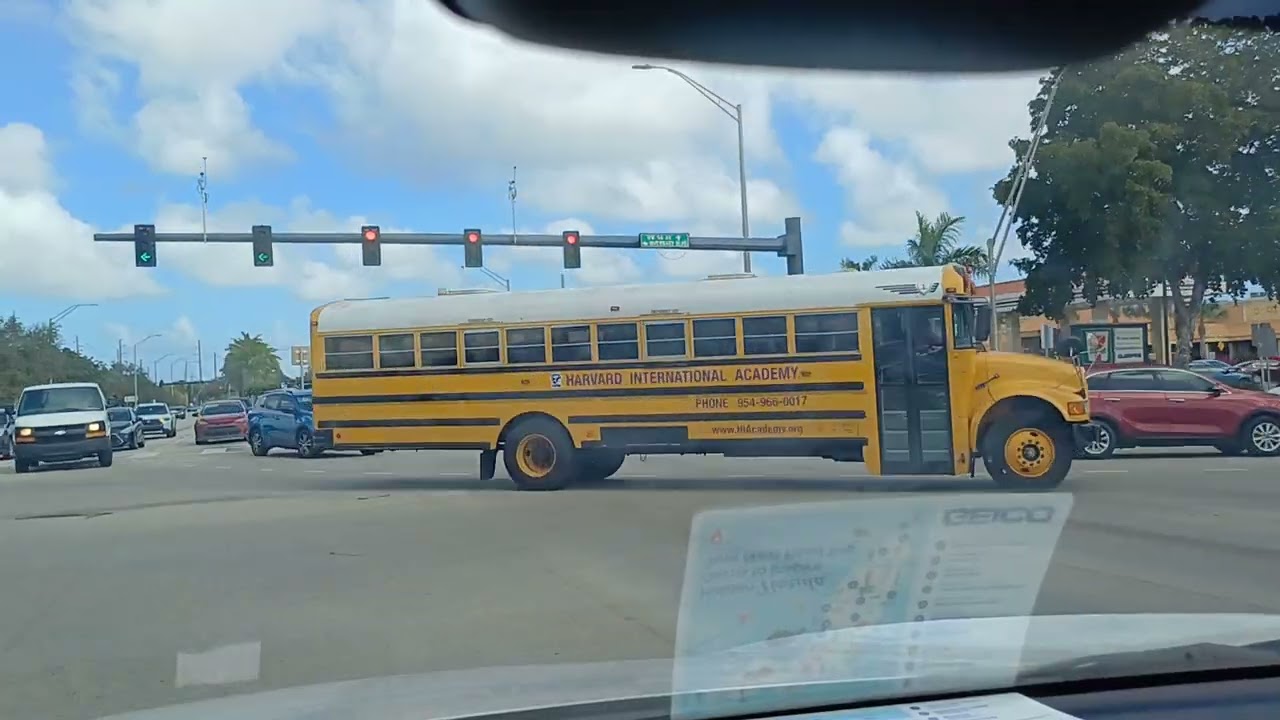 Figi lari a..Florida. Gaz la monte