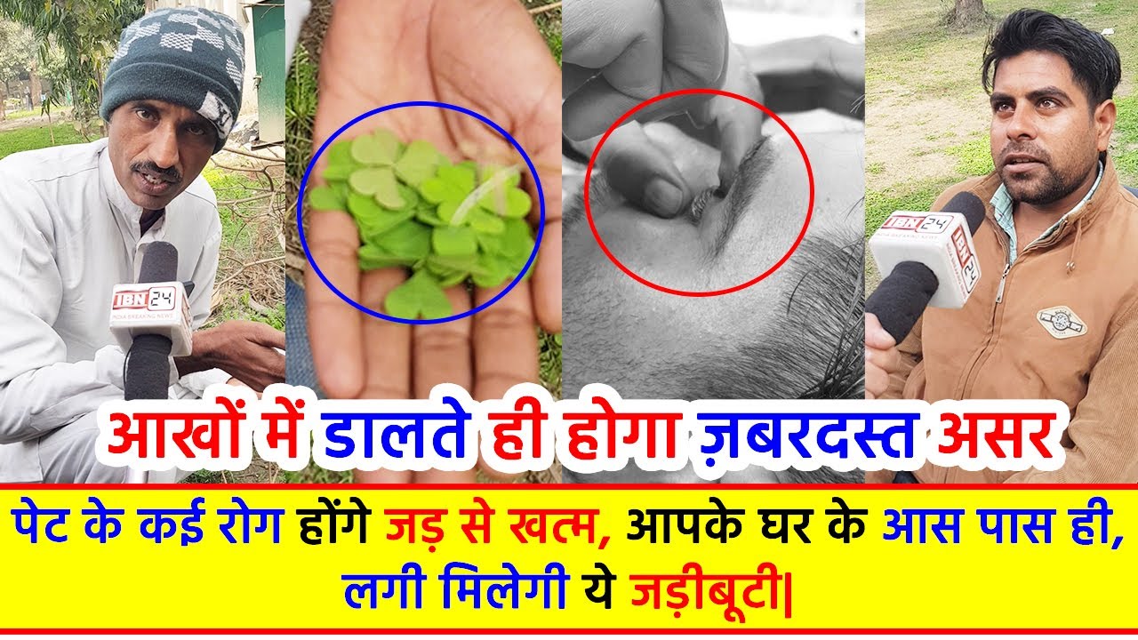 आखों में डालते ही होगा ज़बरदस्त असर, पेट के कई रोग होंगे जड़ से खत्म, आपके घर के आस पास ही लगी मिलेगी