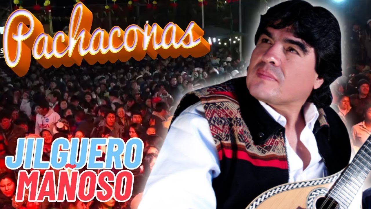 Conjunto Pachaconas - JILGUERO MAÑOSO| Concierto 2023 🎵🐦