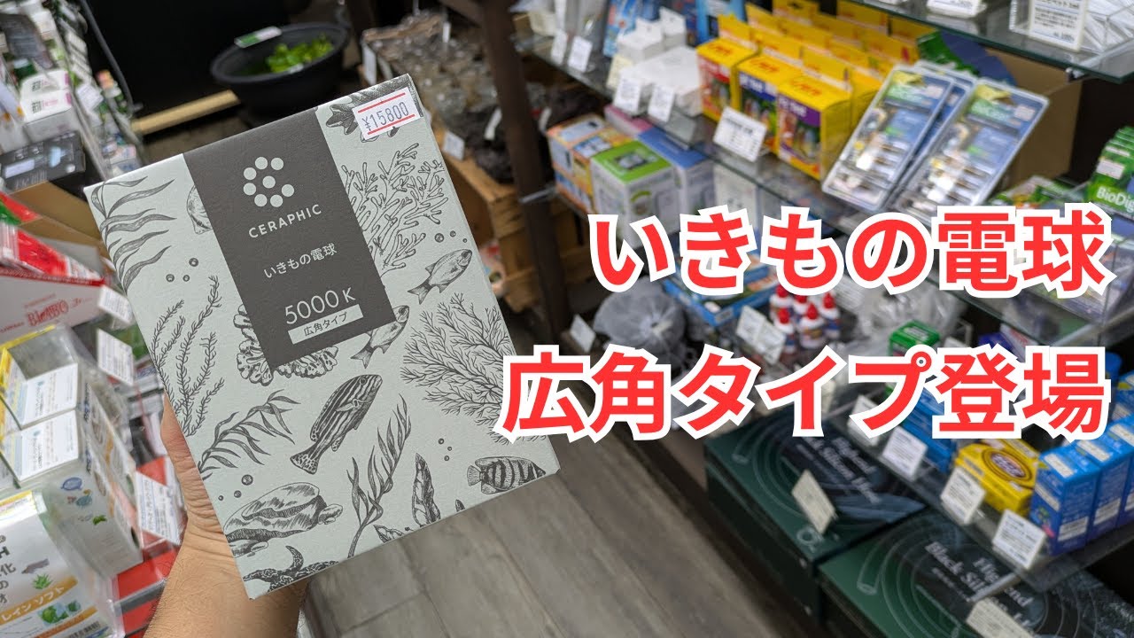 【売り切れ御免】いきもの電球の広角タイプが出ました！