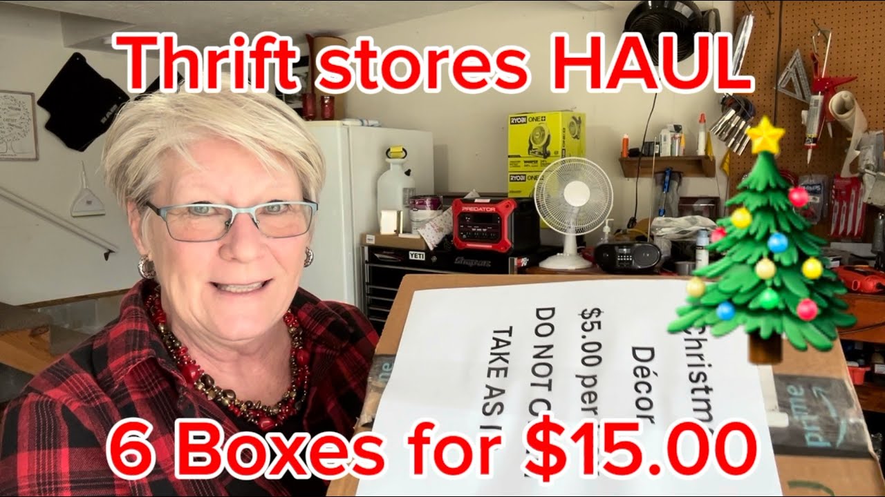 Thrift Store HAUL 6 boxes for $15.00