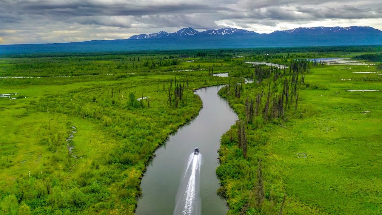 Trout Fishing Deep In The Alaskan Wilderness! (Catch & Cook)