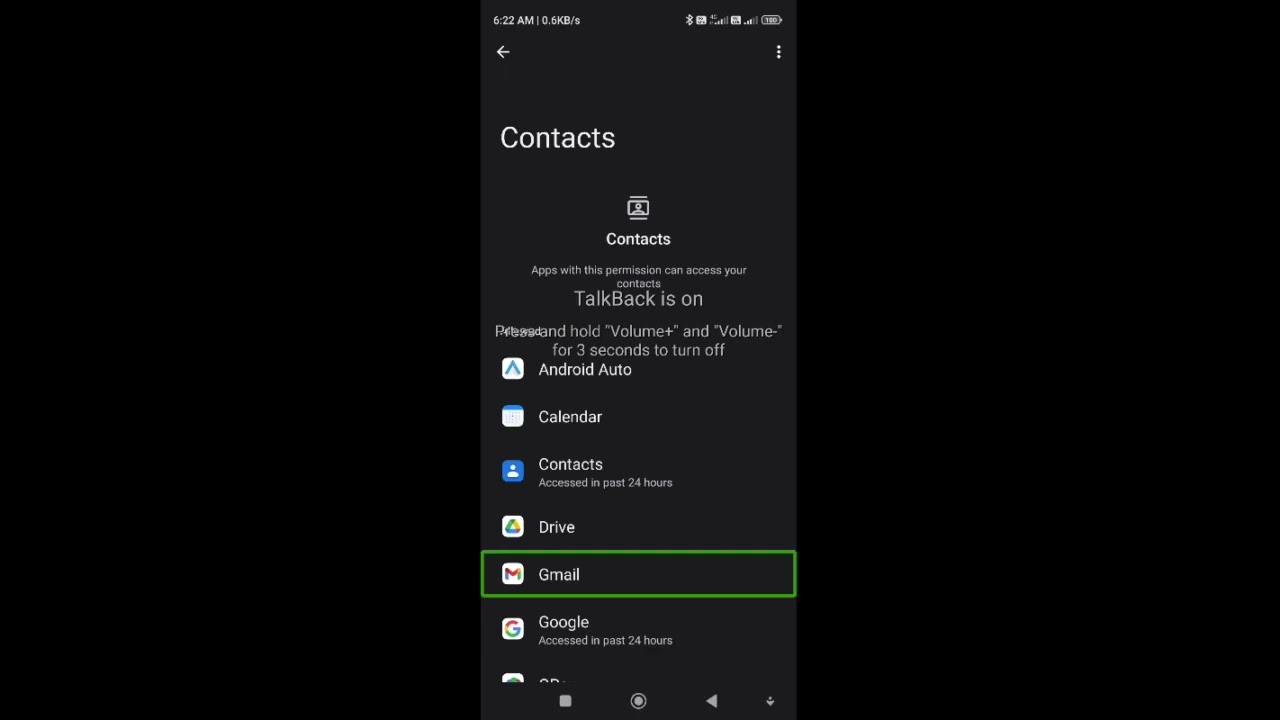 Full privacy control from individual app secure smartphone manage all apps permission with TalkBack