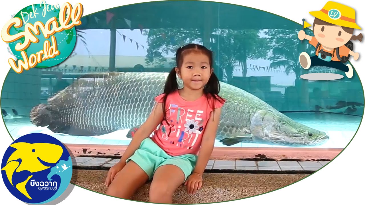 เด็กจิ๋วพาเที่ยวบึงฉวาก ดูสัตว์โลกใต้ทะเล [N'Prim W274]