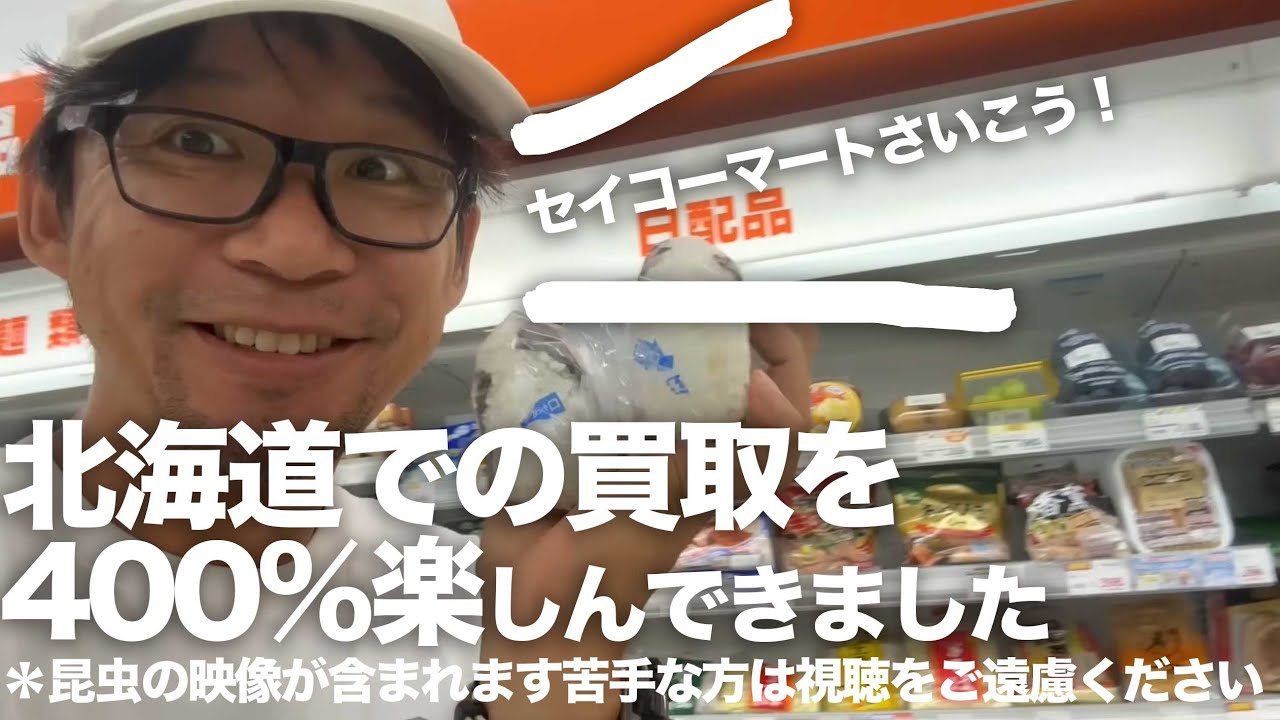 北海道でバイク買取＋昆虫採集をして幸せでした