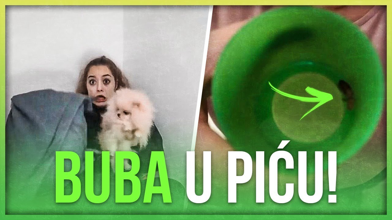 PRANK - PLASIM NADJU SA BUBAMA