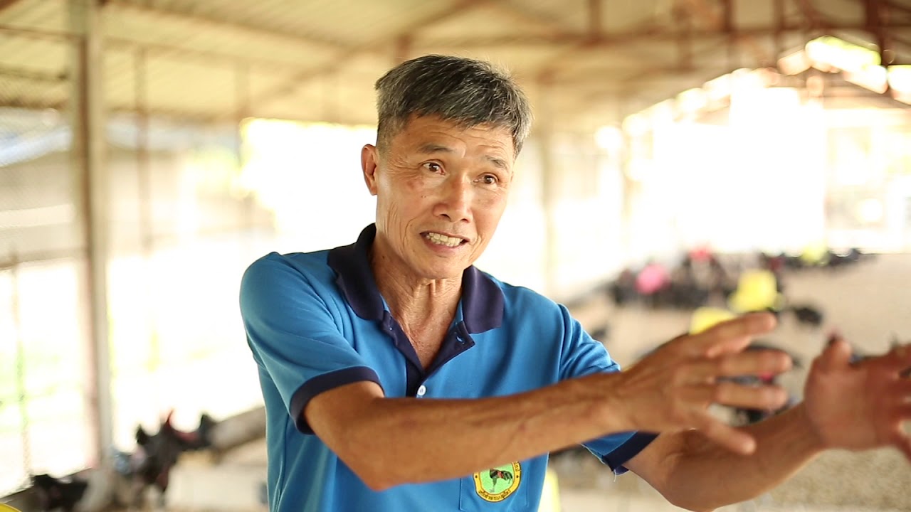 การเรียนไก่พื้นเมือง ตอนที่ 5: อาหารไก่จากภูมิปัญญา เพื่อลดต้นทุนการผลิต