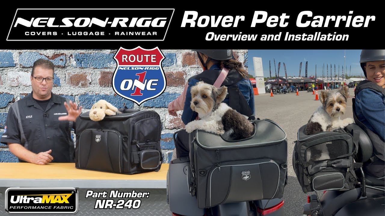 Route 1 Rover Pet Carrier Overview and Installation from @Nelsonriggusa  NR-240