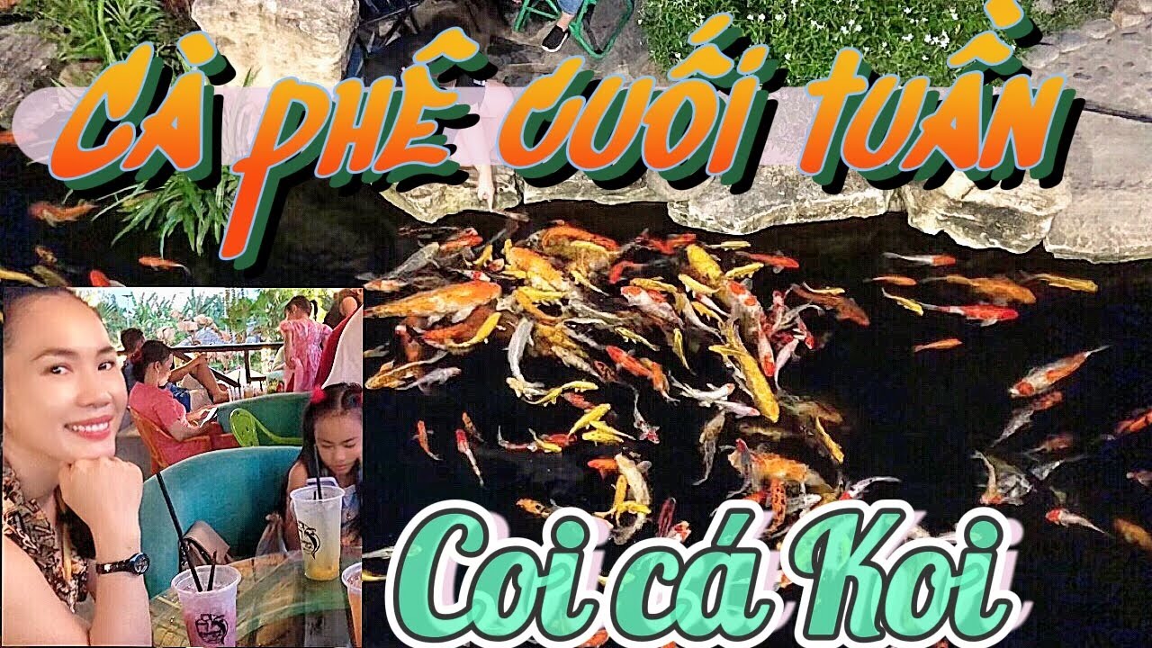 Cà Phê Cá Koi Sân Vườn Đầu Tiên Ở Trà Ôn| Koi garden coffee| Trúc Nhà Quê