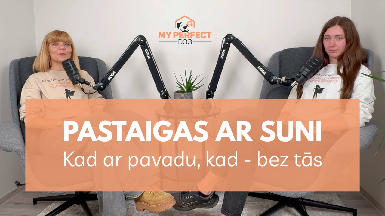 Pastaigas ar suni & kad drīksti doties pastaigās ar, kad - bez pavadas?