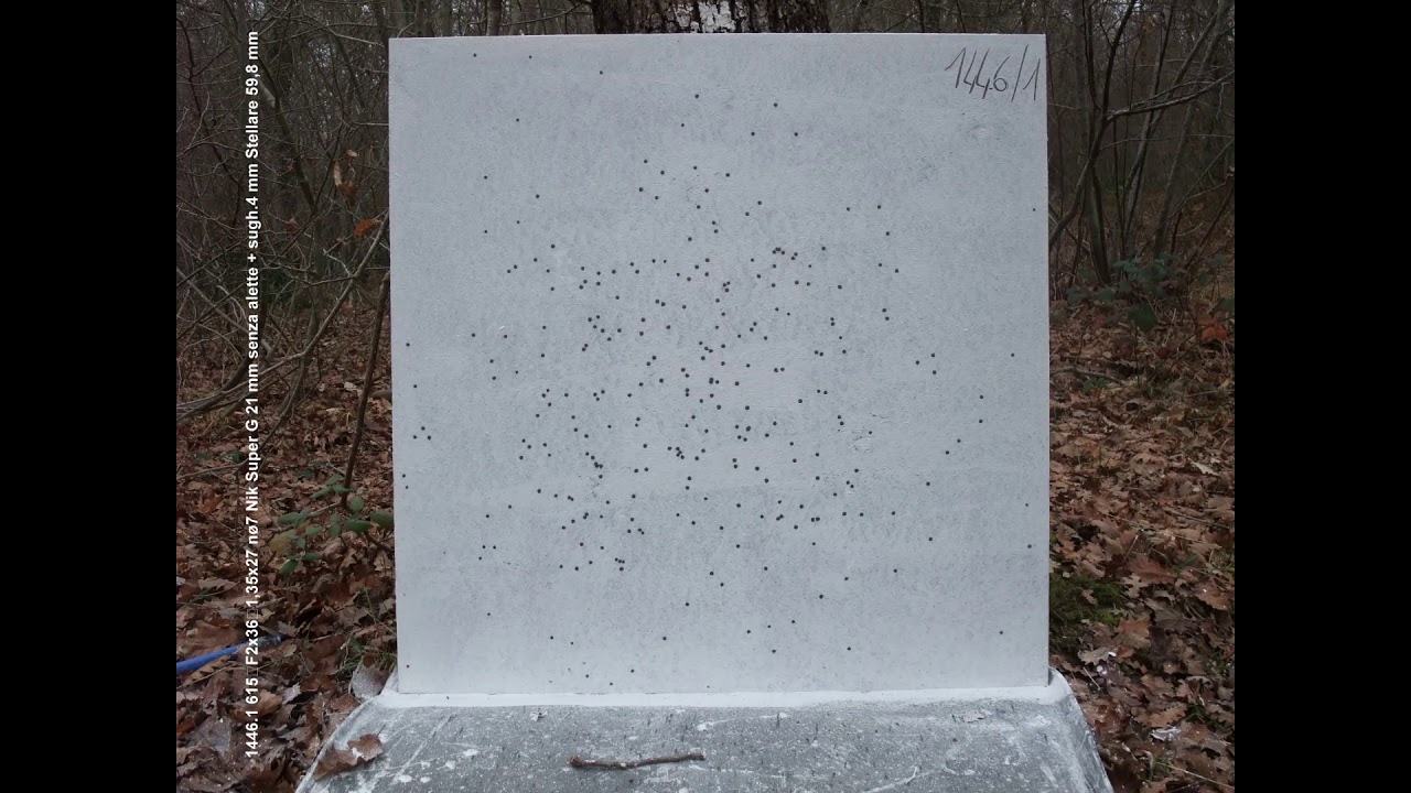 Rosate F2x36 in calibro 20
