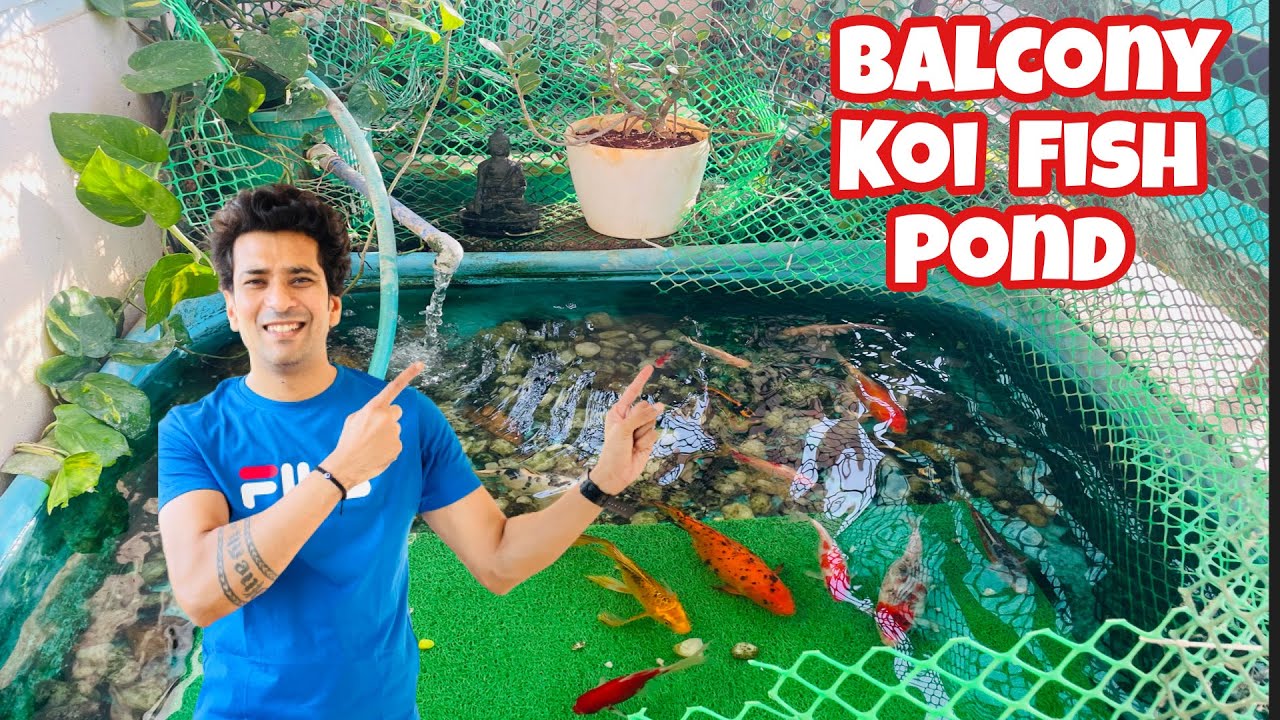 Balcony Pond | Balcony Fish Pond Ideas | Balcony Koi Fish Pond | Koi Fish Pond | Pond filtration