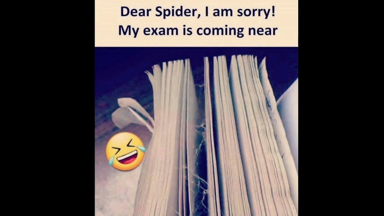 Online Class / Exam memes