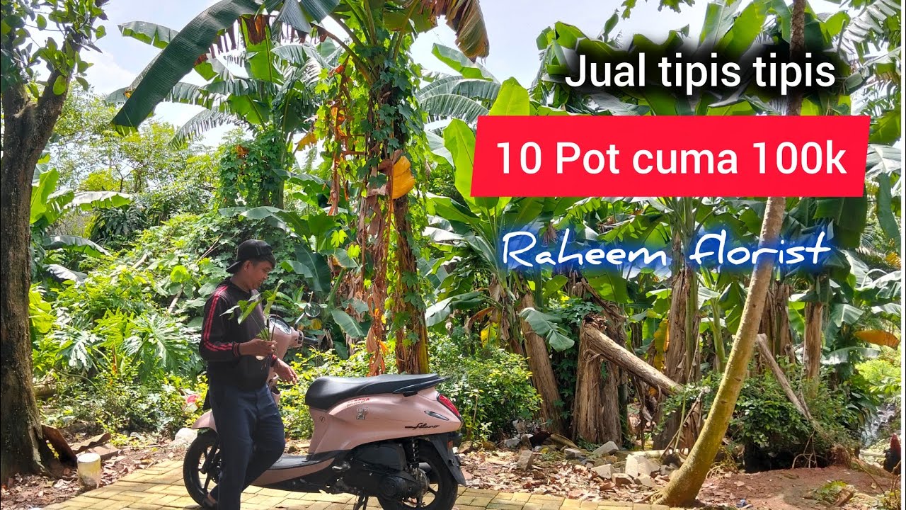 Dijamin Murah Meriah Di RAHEEM florist 