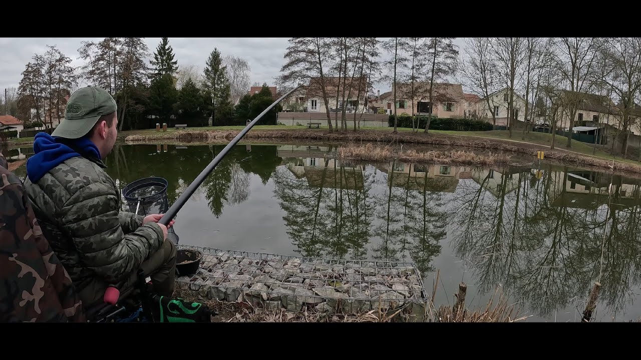 Pêche au coup en hiver (@julien_multifishing Pêche au coup en étang )