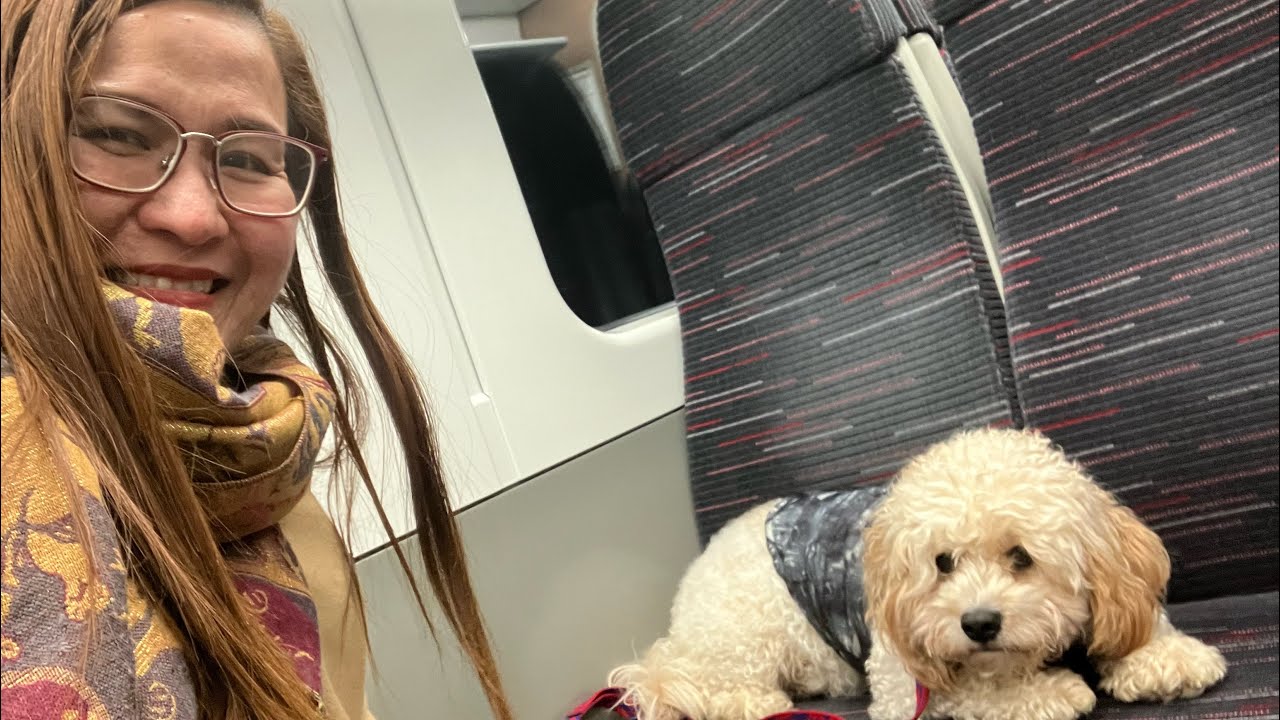 2026 Jan LONDON | Picking Jacob from Boarding