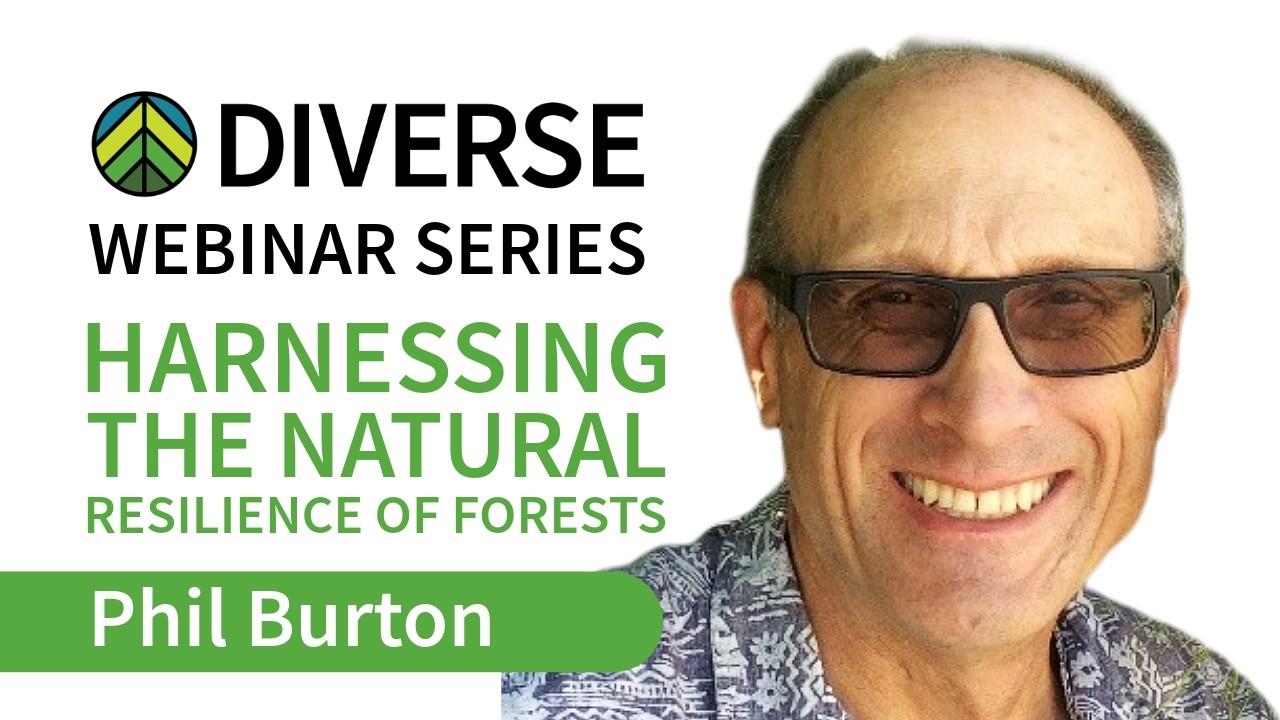 DIVERSE Webinar Series #8: Harnessing the Natural Resilience of Forests