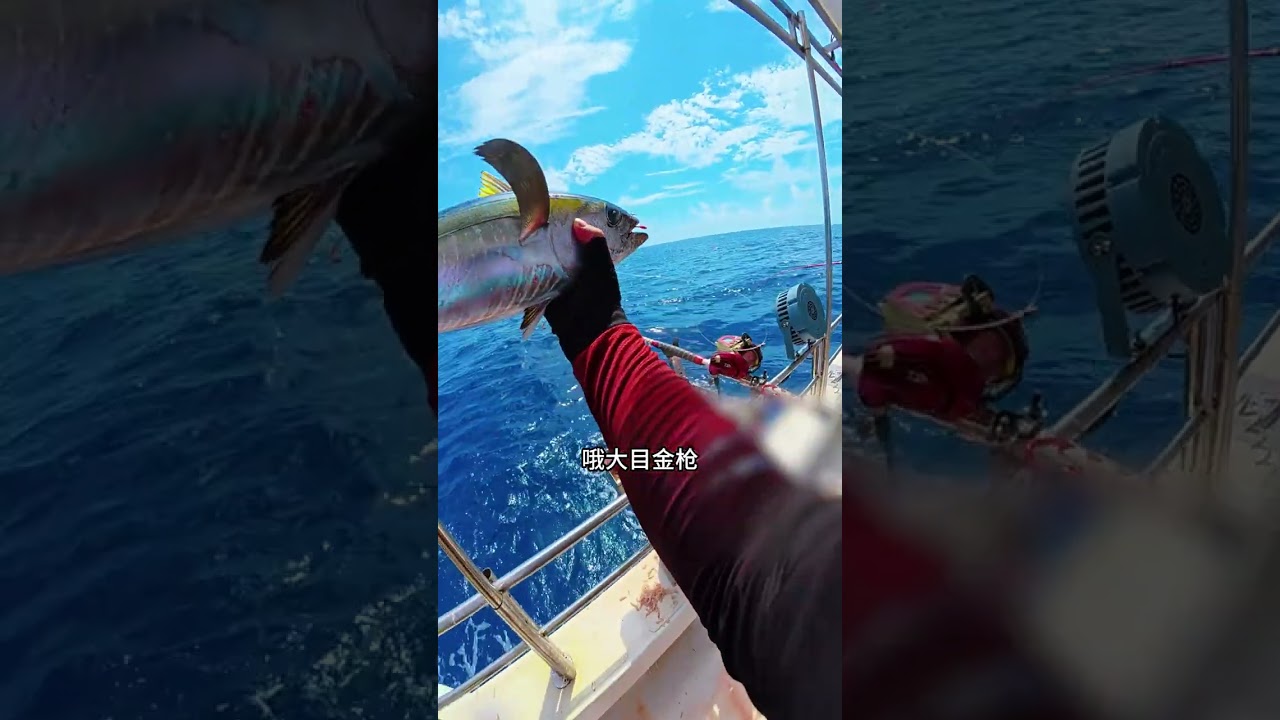 Swap Tuna for a BBQ: Fishy Swap Deals Unveiled