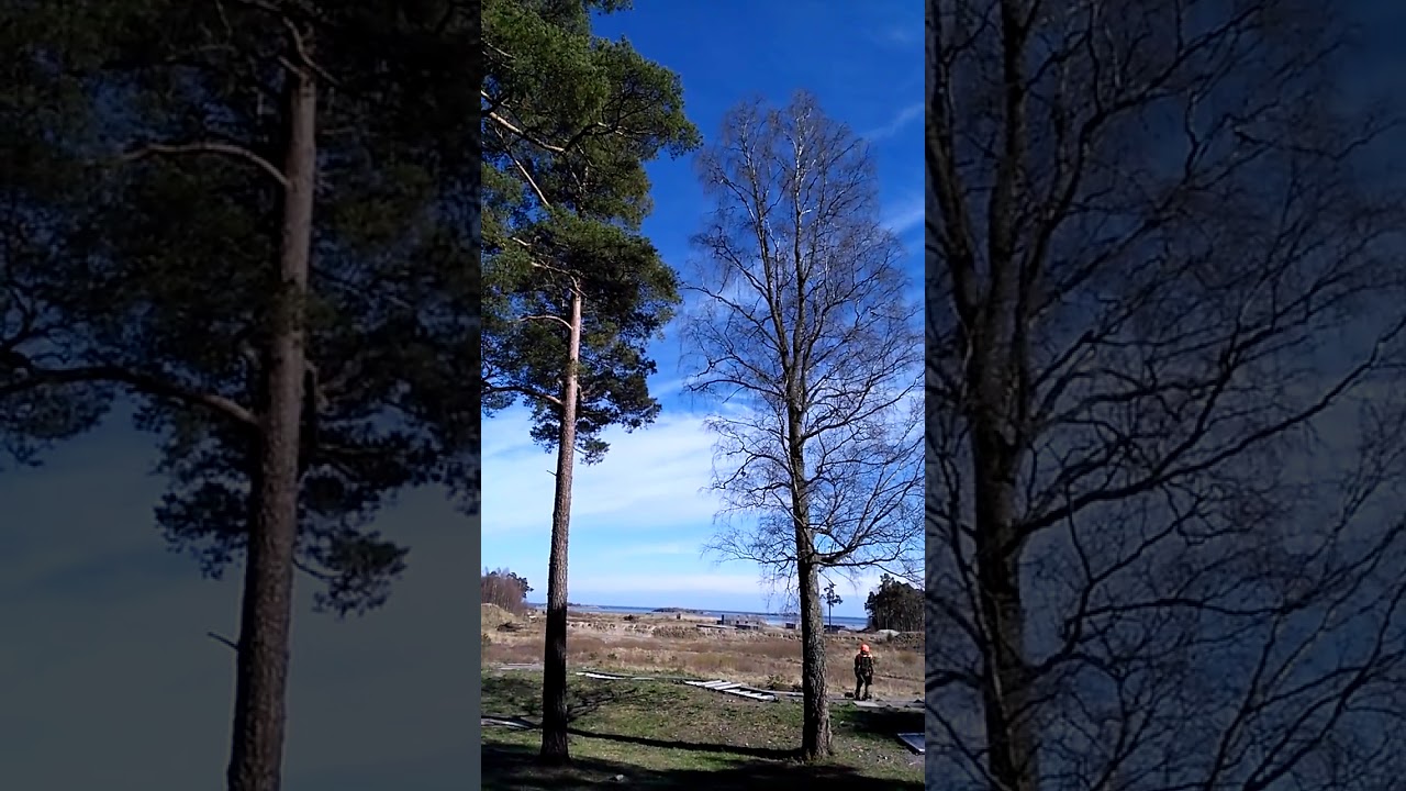 Puolustusvoimien taistelunäytös Santahaminassa 15.5.2017. Ampuminen kranaatinheittimellä.