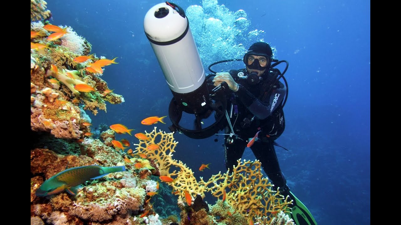 We have scooters! Join the Diver Propulsion Vehicle DPV Course!