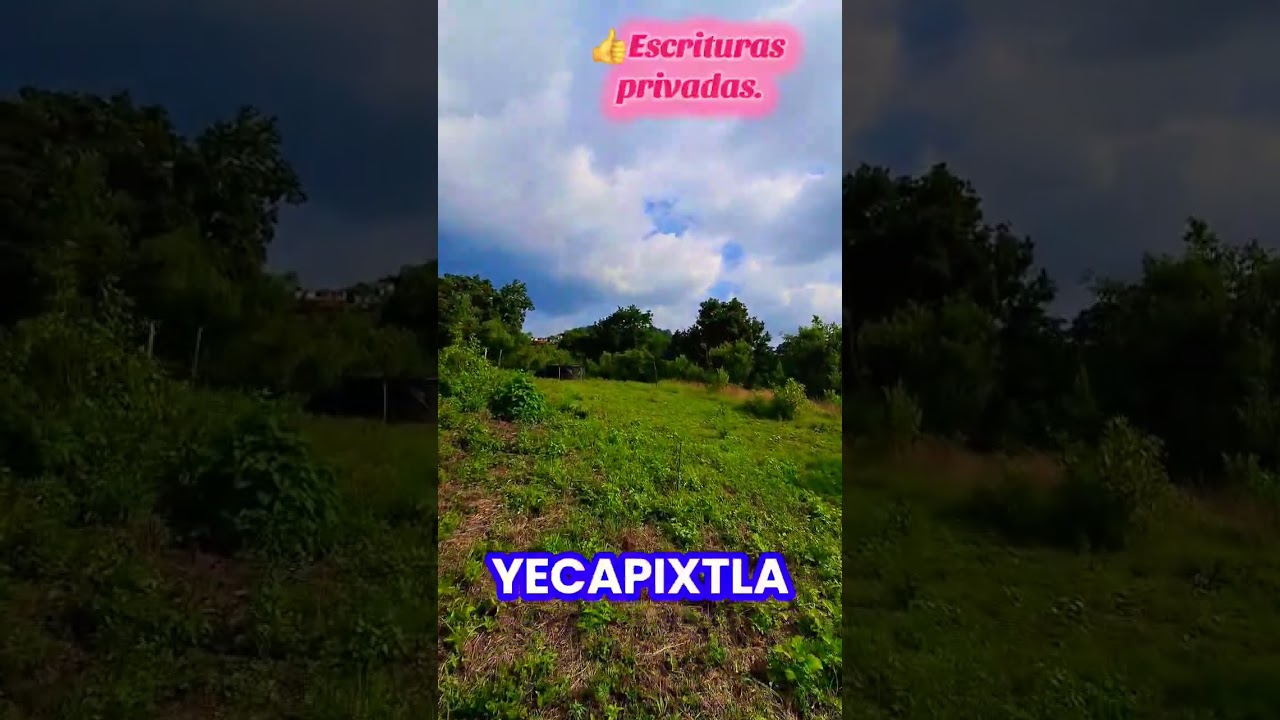 1. 🌳 &iexcl;Terreno de 960m&sup2; en Ocuituco con Aguacates! 🍃#terreno #Morelos #Ocuituco
