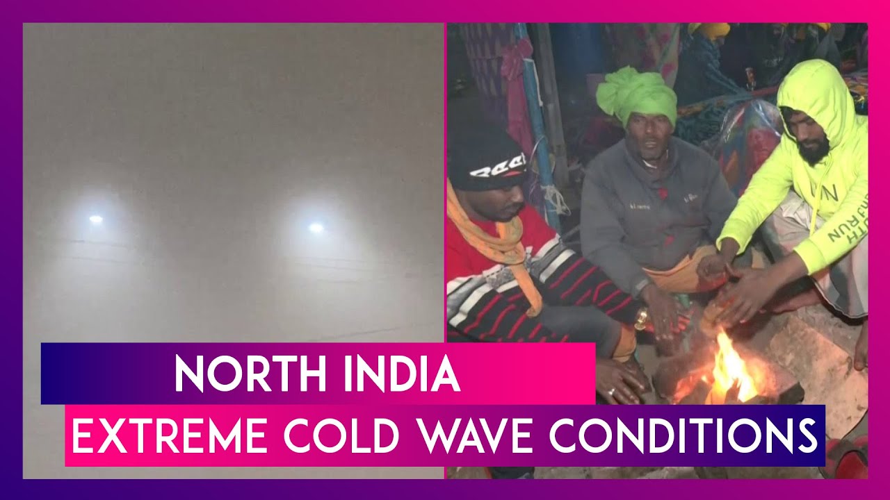 North India Reels Under Extreme Cold Wave Conditions; Delhi Records Lowest Temperature In 2 Years