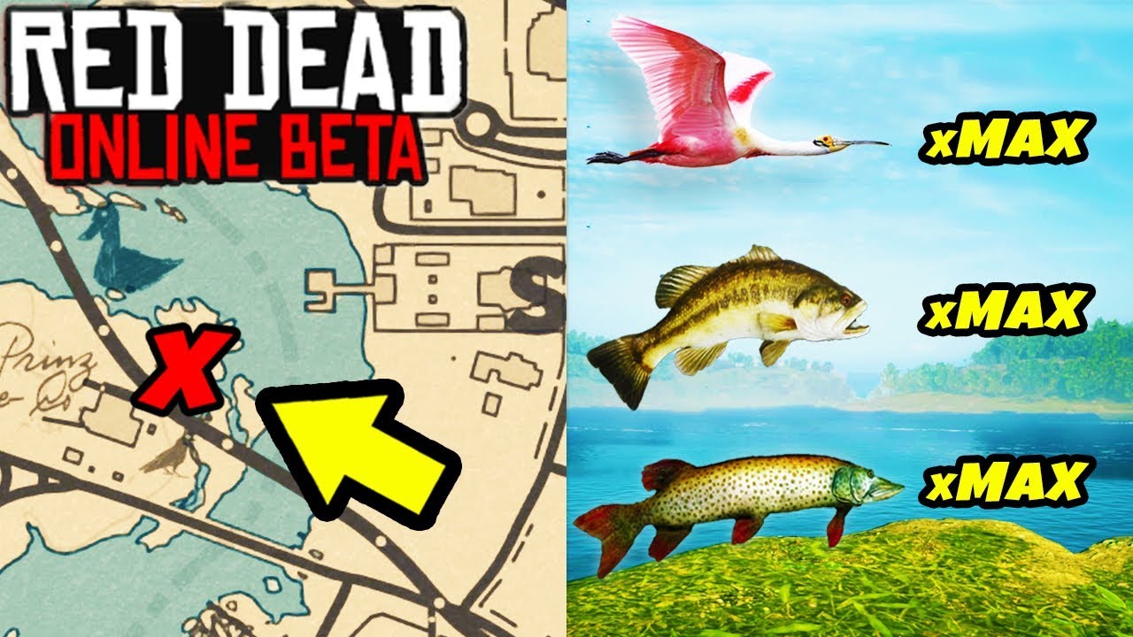 *SECRET* UNLIMITED FISH & BIRD LOCATION TO MAKE FAST MONEY in Red Dead Online! Fish Glitch RDR2!