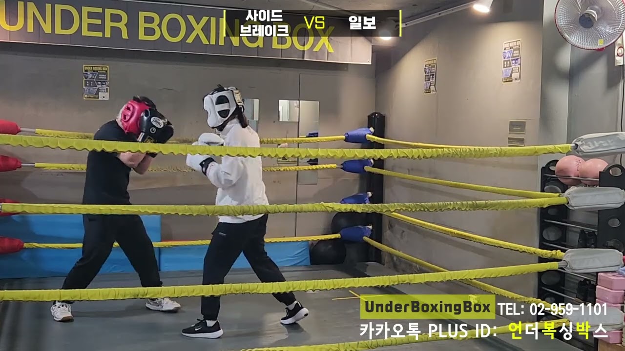 26년 2월 사이드브레이크 VS 일보