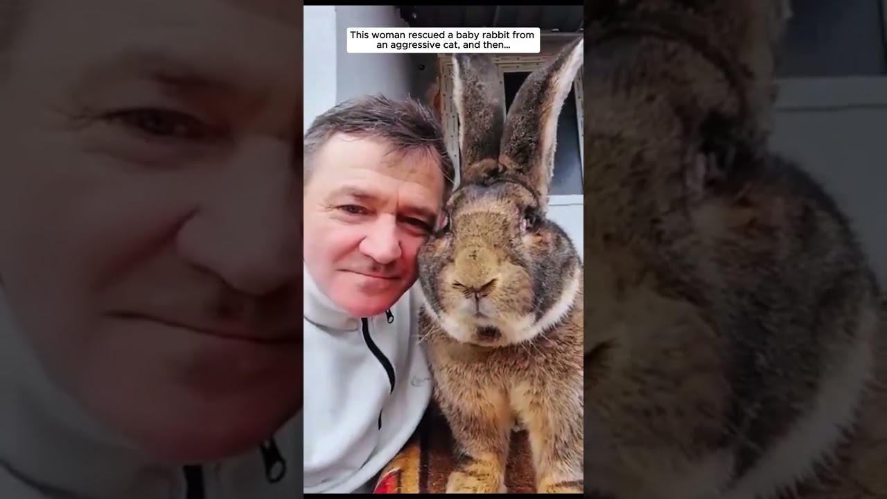 Every Life Matters... #animals #rescue #heartwarming #lovestory #wildliferescue