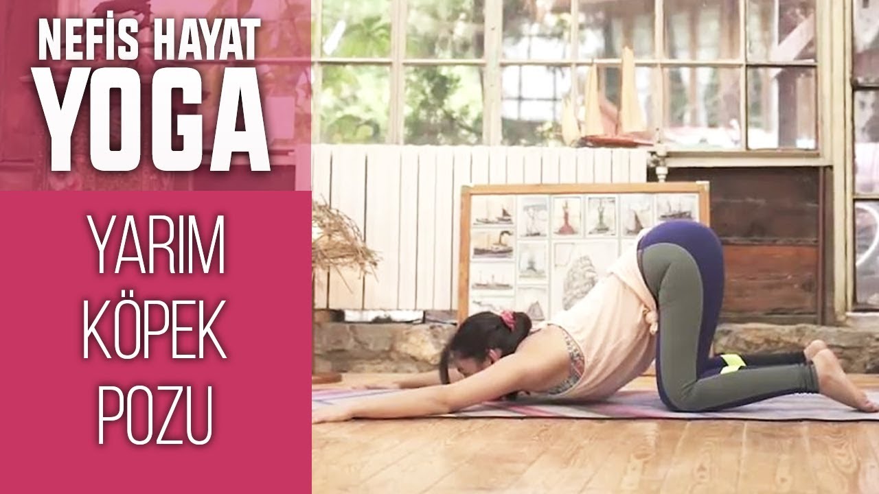 UTTANA SHISHOSANA | Sırt ve Bel Kaslarını Esneten ve Rahatlatan Duruş | Gözde İle Yoga