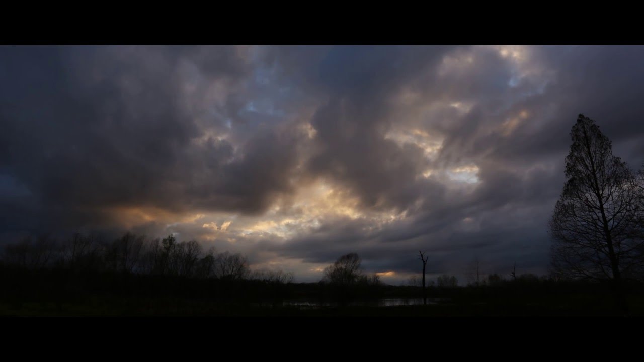 Brazos Bend Time Lapse